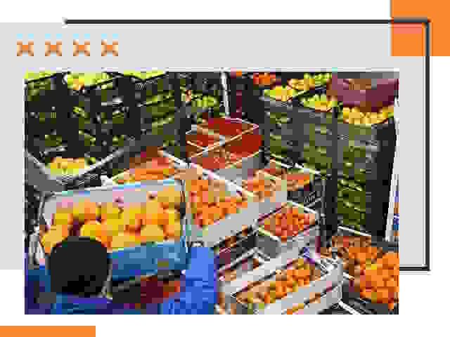 Перевозка скоропортящихся продуктов в Глазове